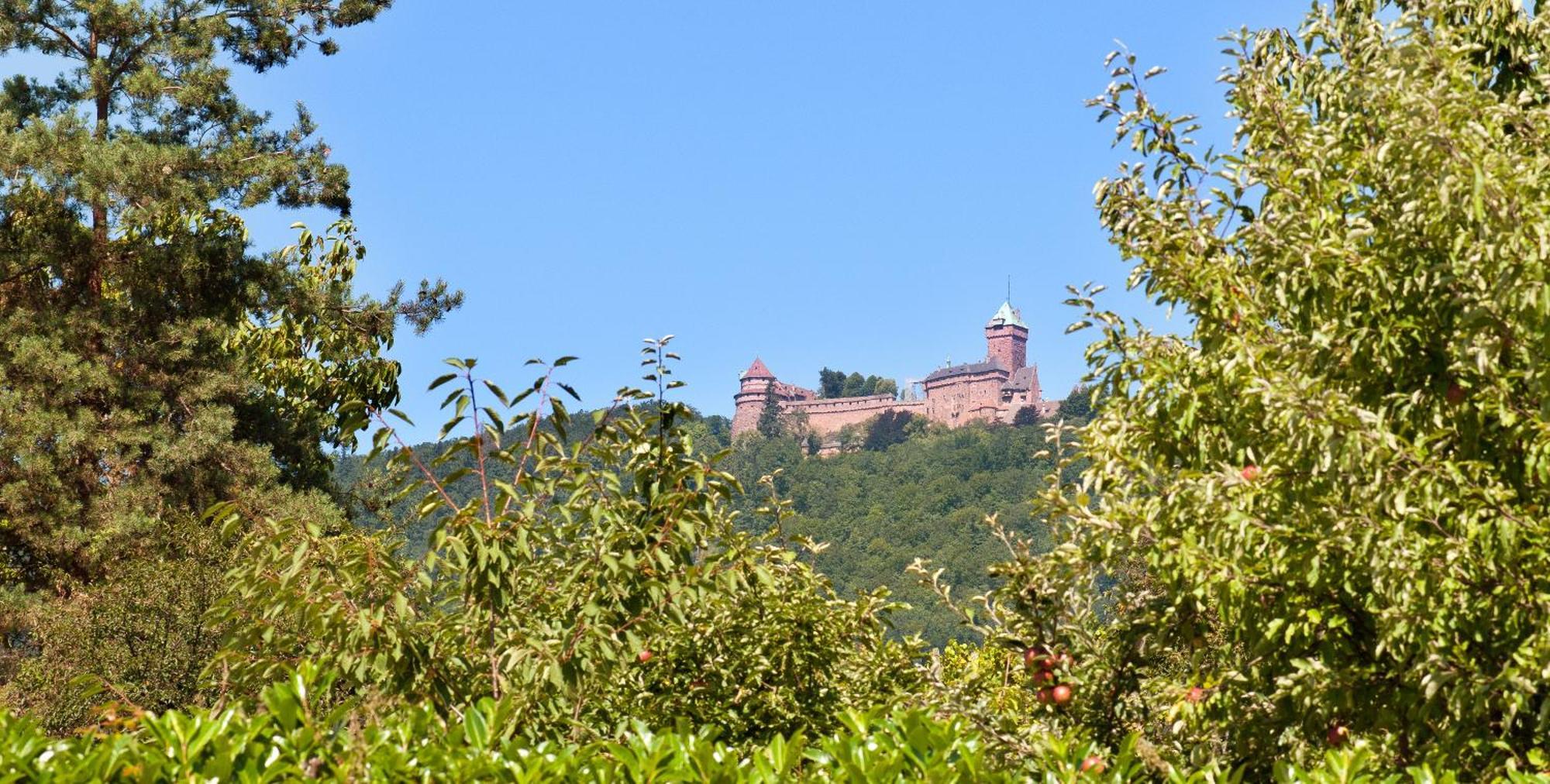 Logis Hotel Le Parc & Spa Saint-Hippolyte  Esterno foto